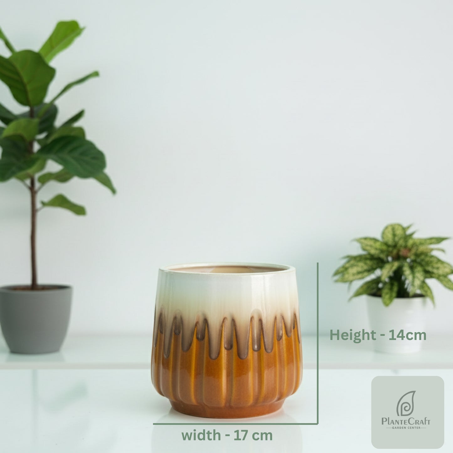 CozySprout Pot