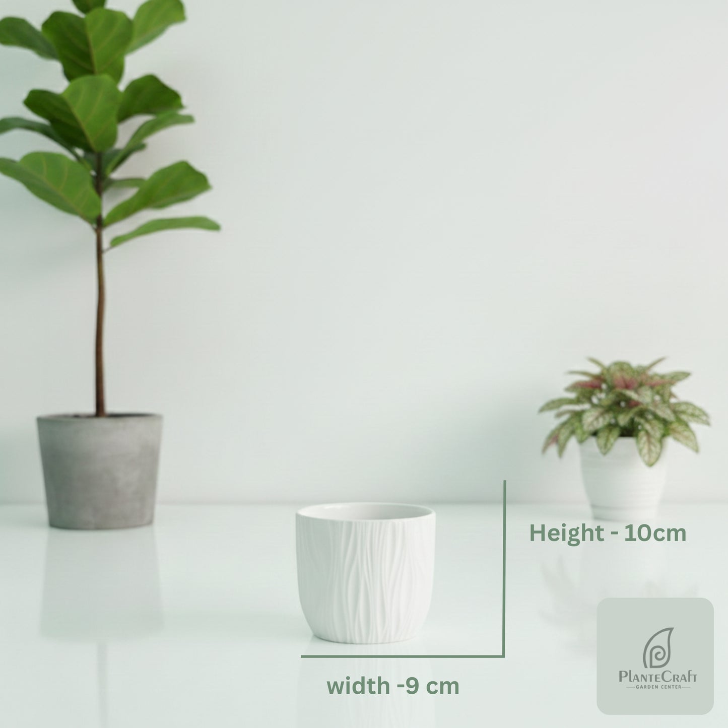 EarthBloom Pot