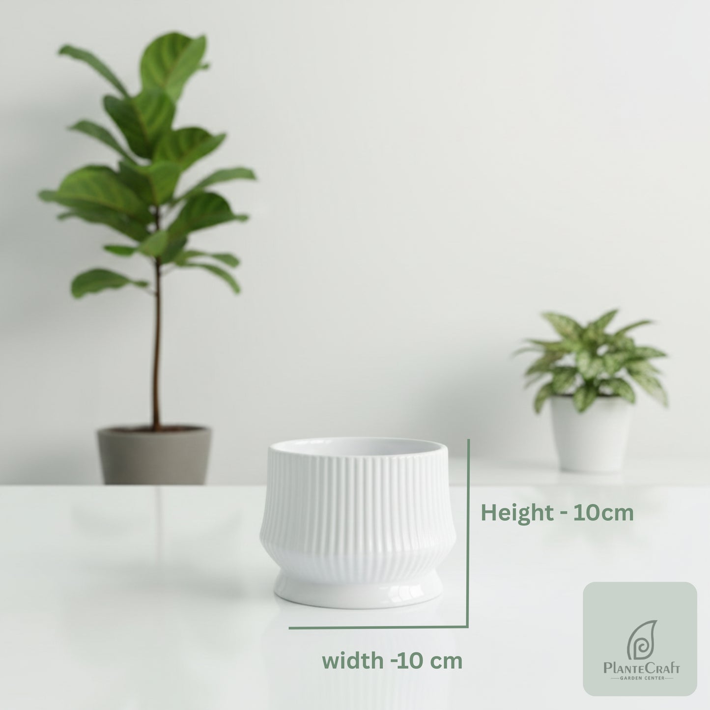 GeoCraft Pot