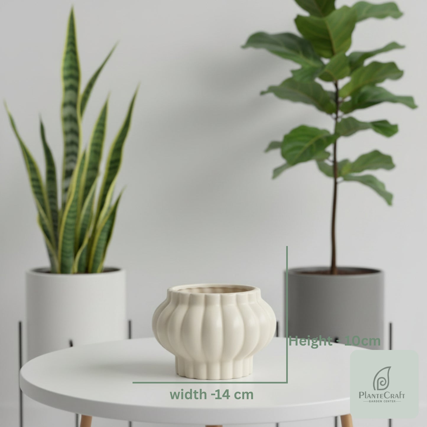 Slate Curve Pot