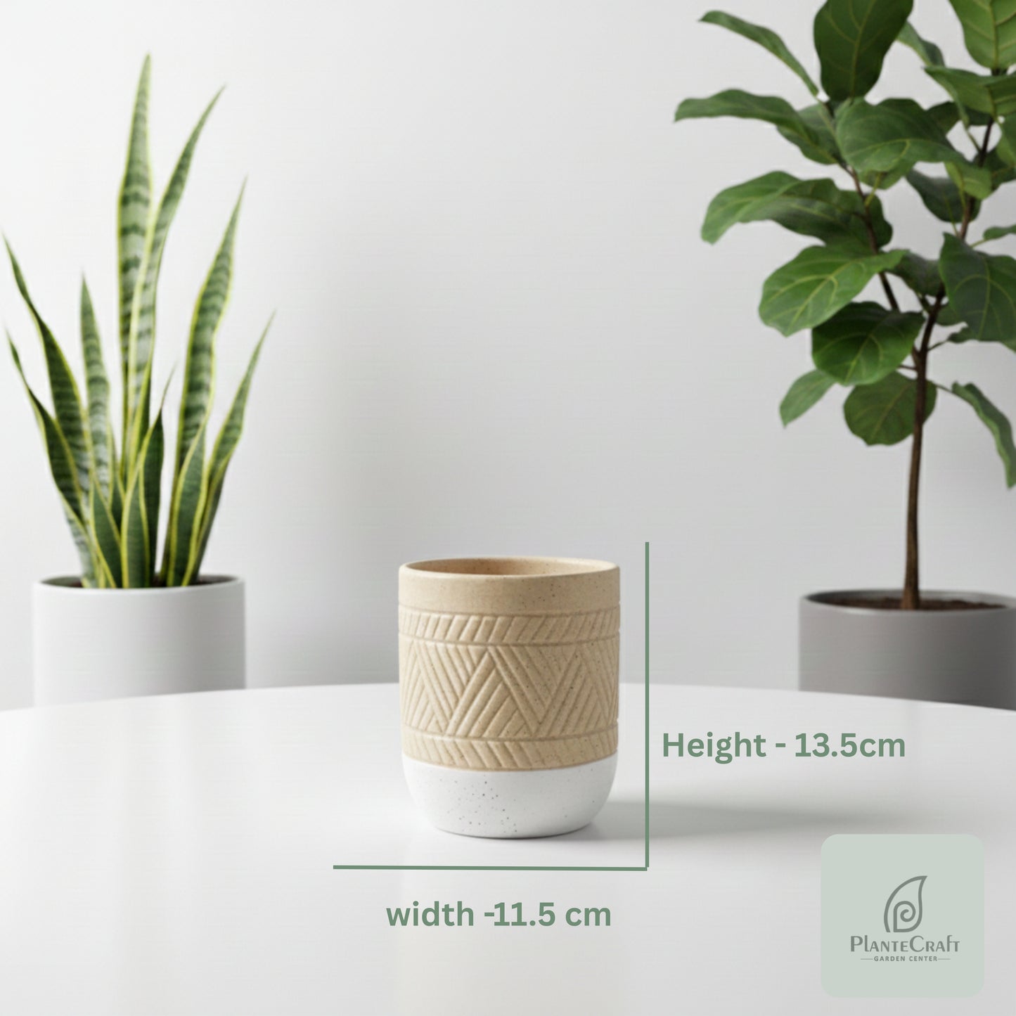 Silica Shell Vase
