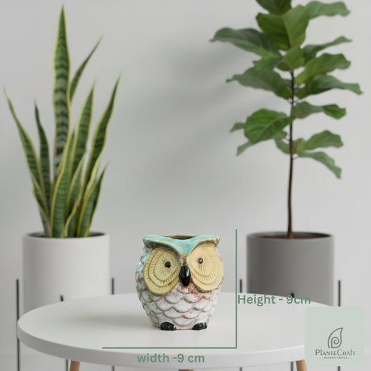 Ceramic Owl Pot