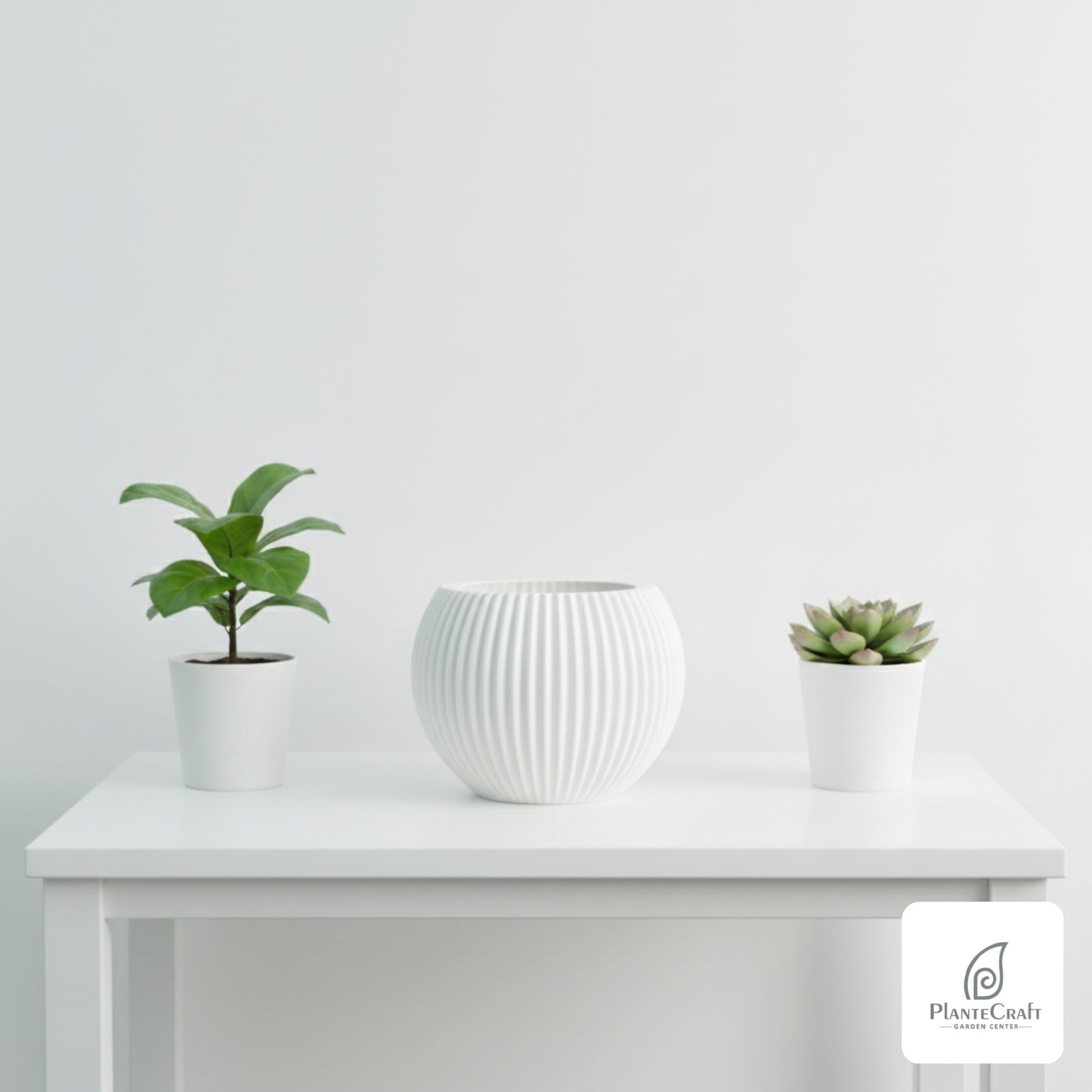 Round Color Pot