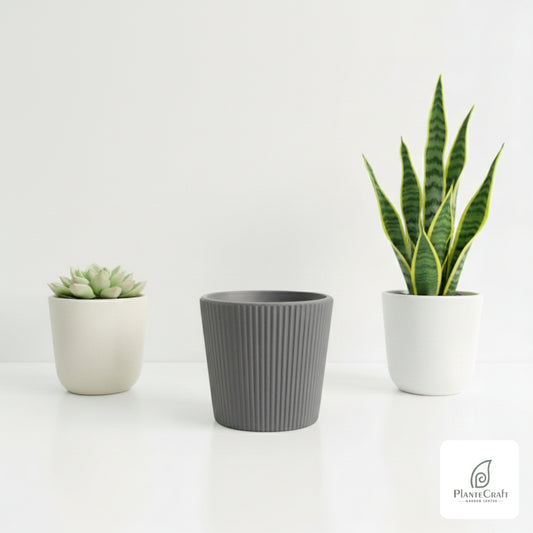 Grid Color Pots