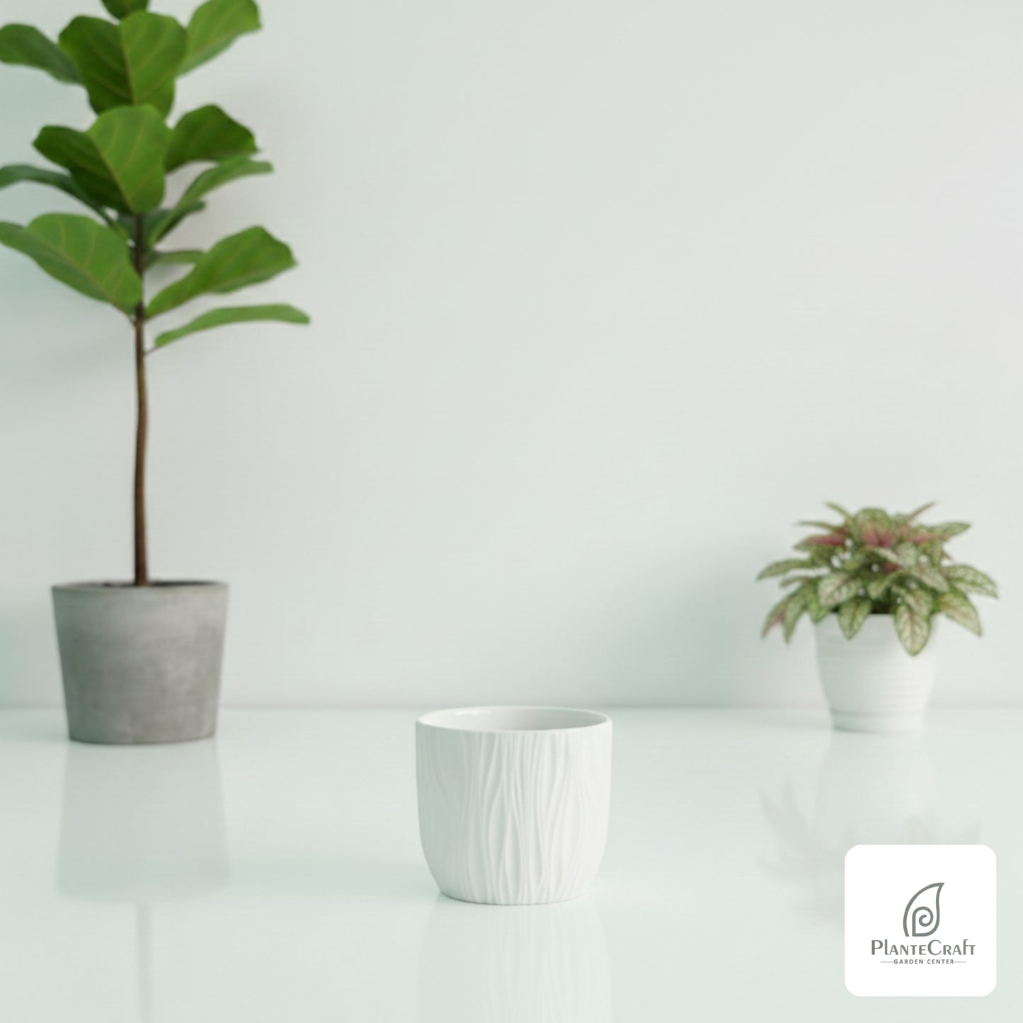 EarthBloom Pot
