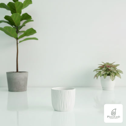 EarthBloom Pot
