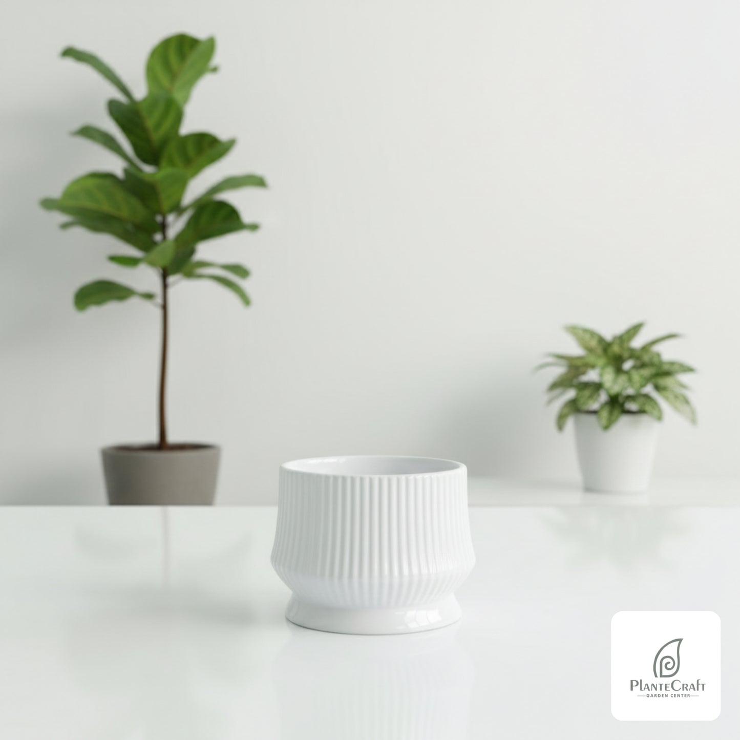 GeoCraft Pot