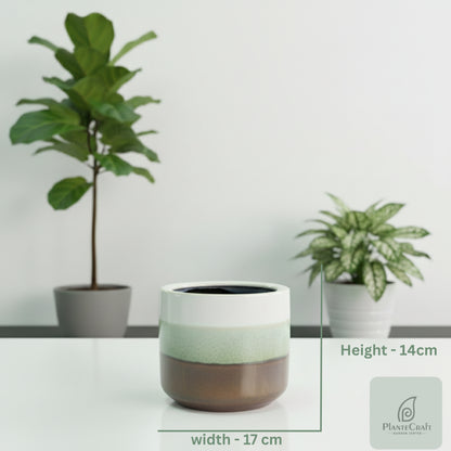 ForestAura Pot