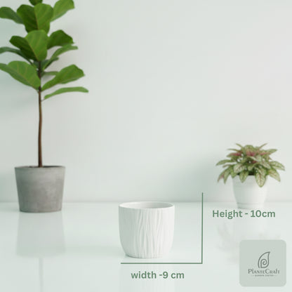EarthBloom Pot