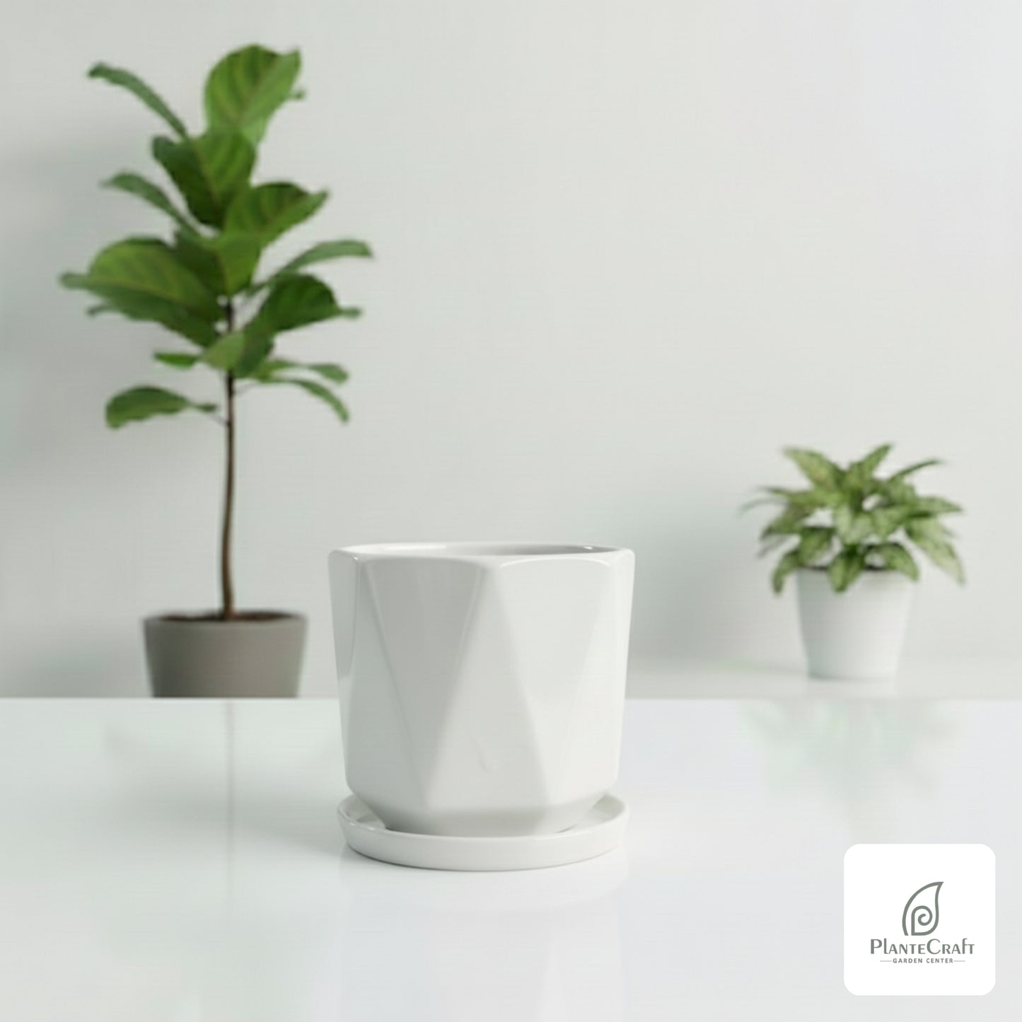 EarthHollow Pot
