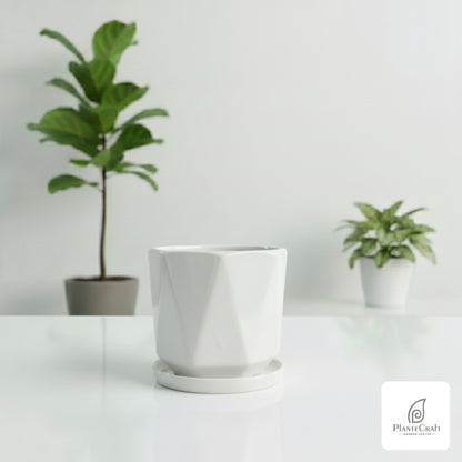 EarthHollow Pot