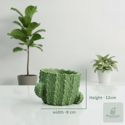 CozySprout Pot