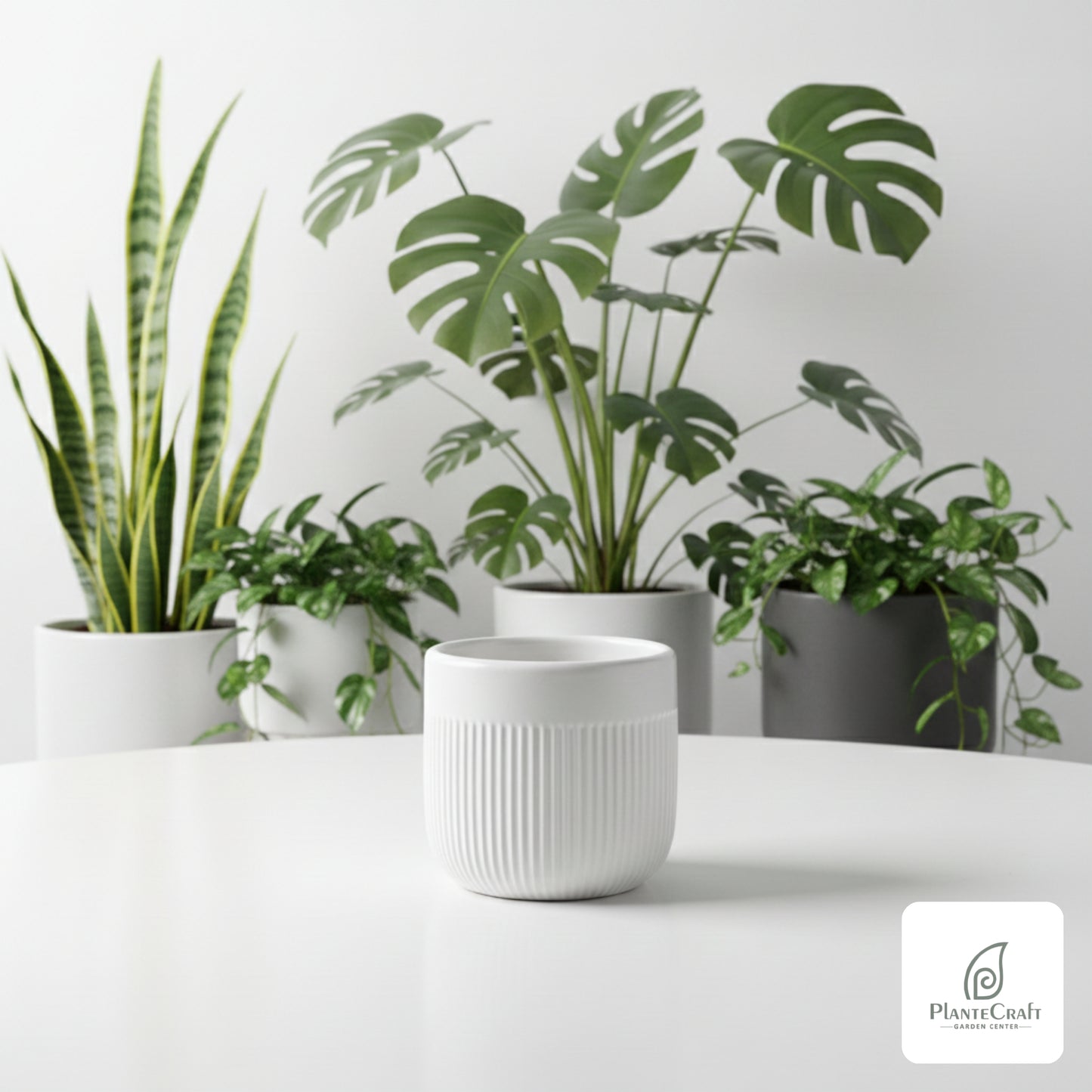 StoneHarbor Planter