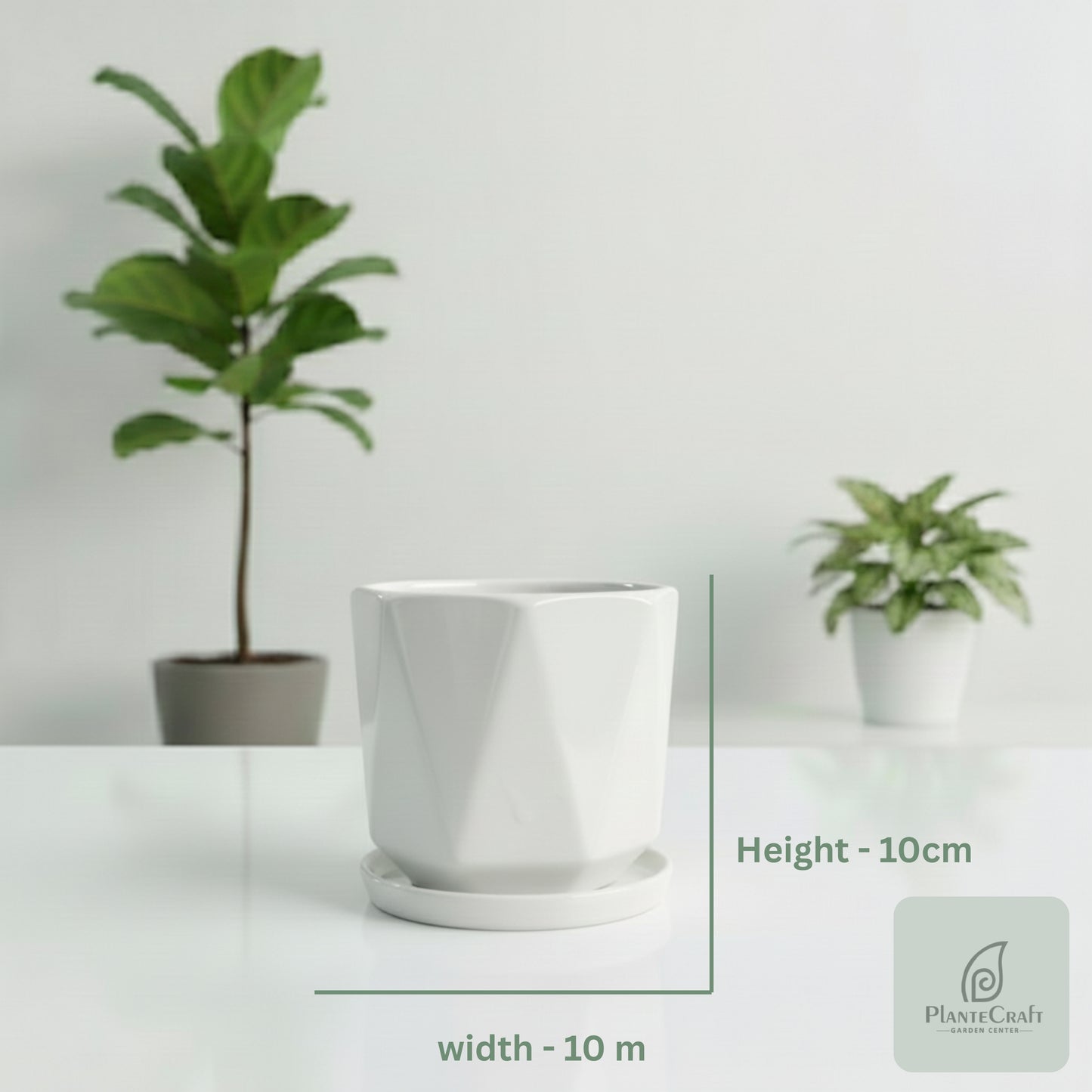 EarthHollow Pot