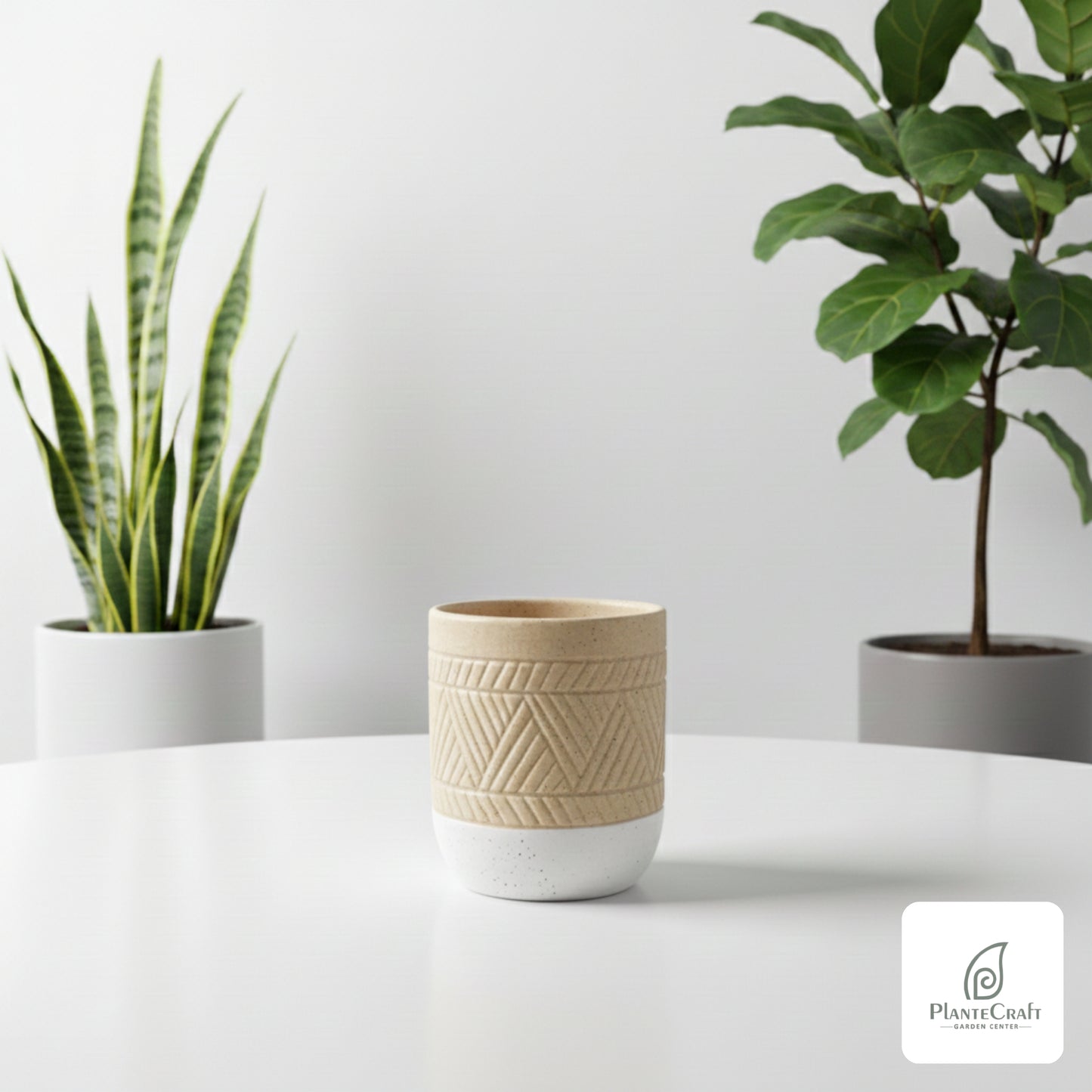Silica Shell Vase