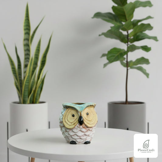 Ceramic Owl Pot