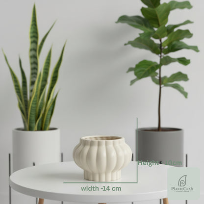 Slate Curve Pot