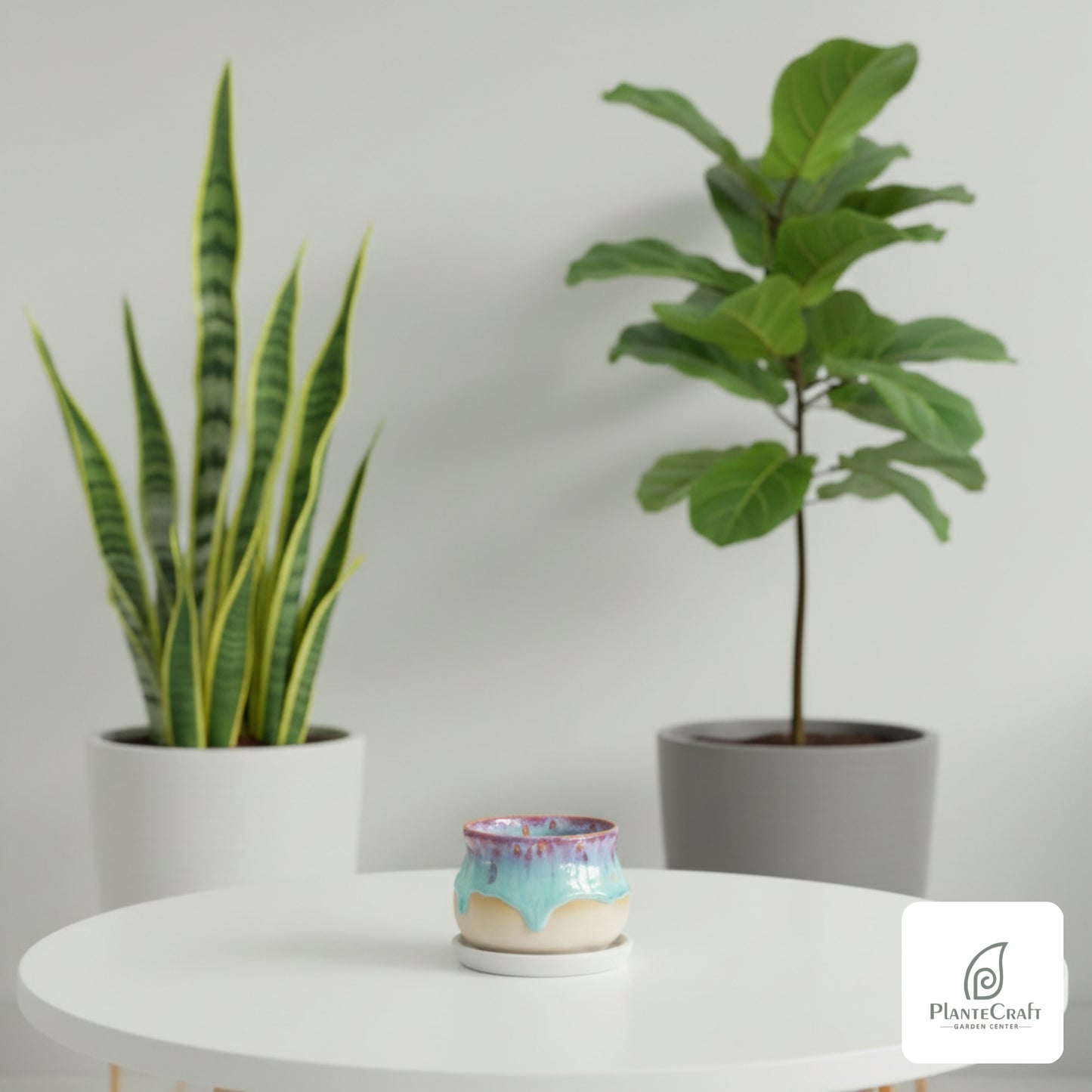 Minimal Crest Pot