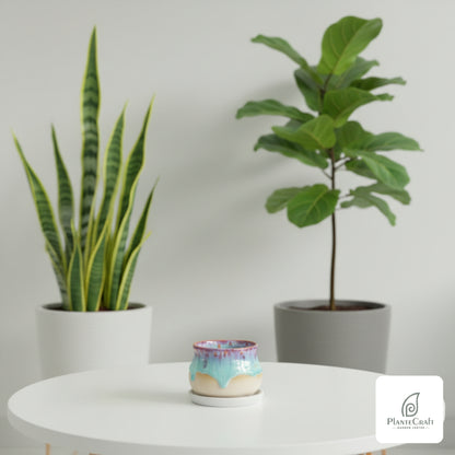 Minimal Crest Pot