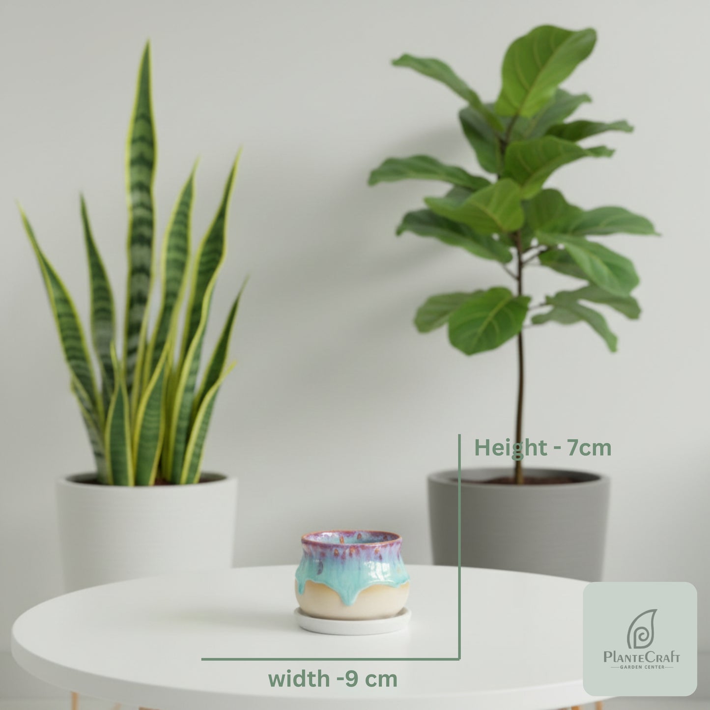 Minimal Crest Pot