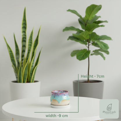 Minimal Crest Pot