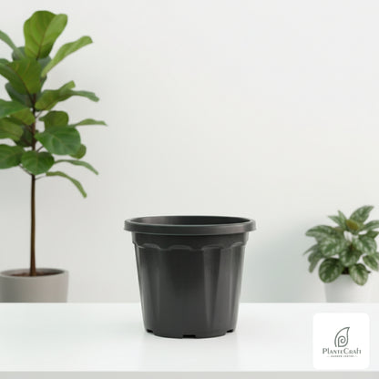 Duraplant Pot