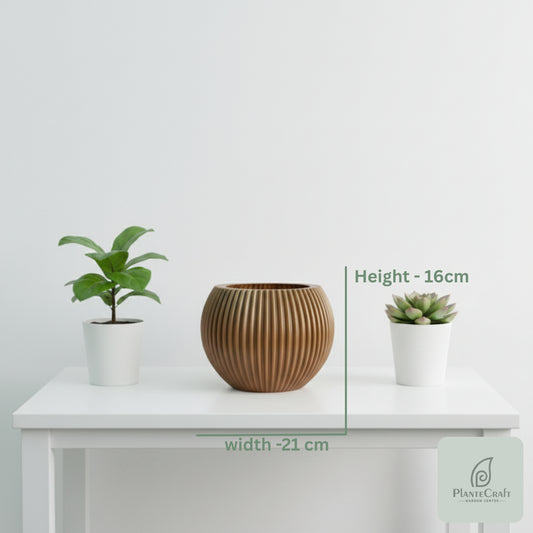 Round Color Pot
