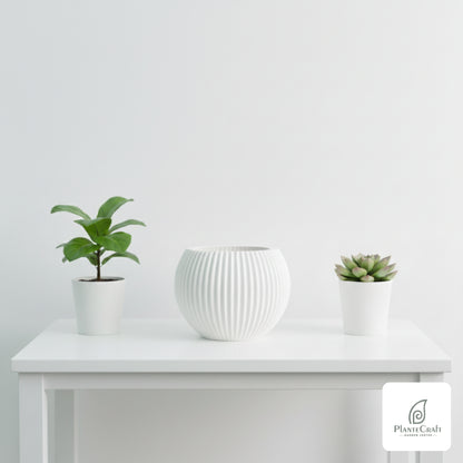 Round Color Pot