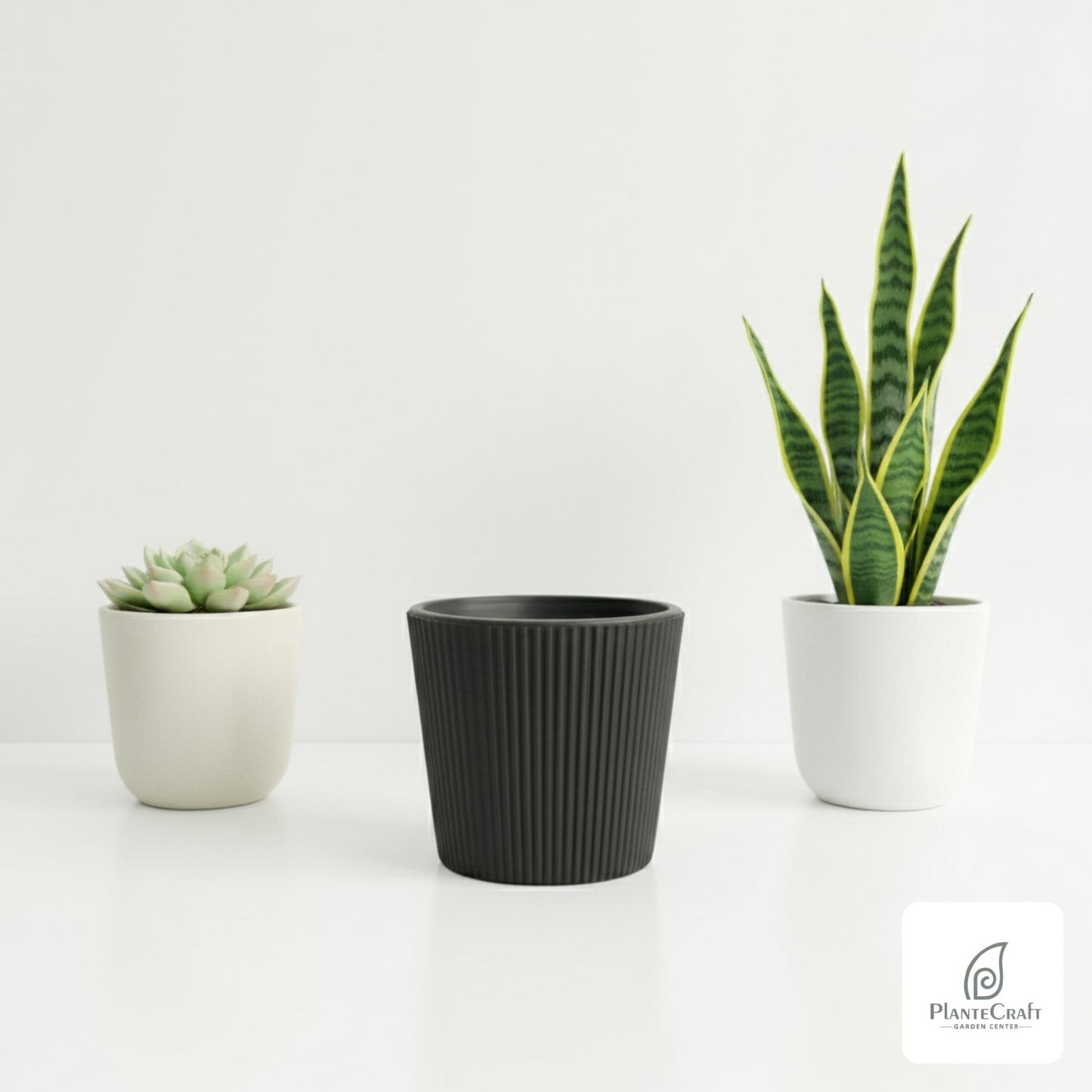 Grid Color Pots
