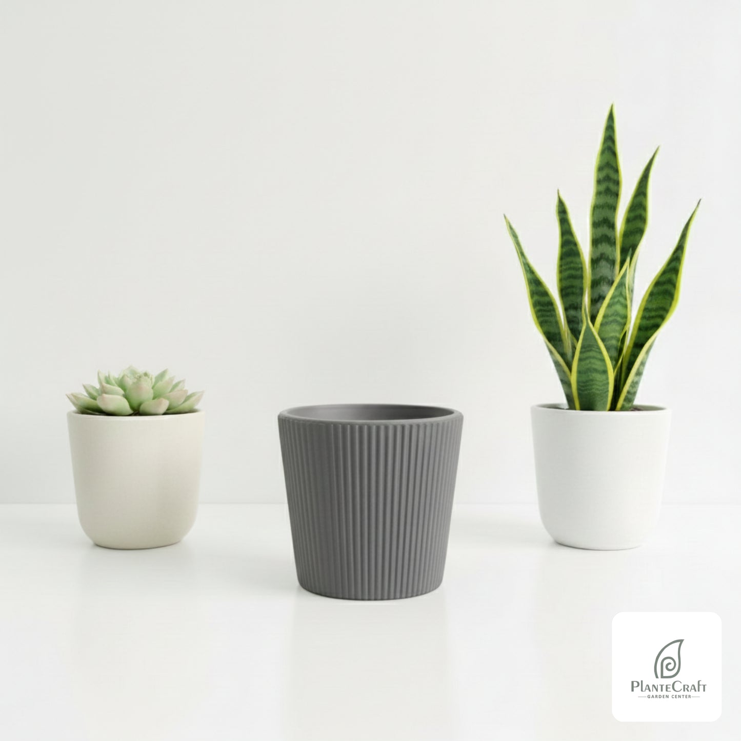 Grid Color Pots
