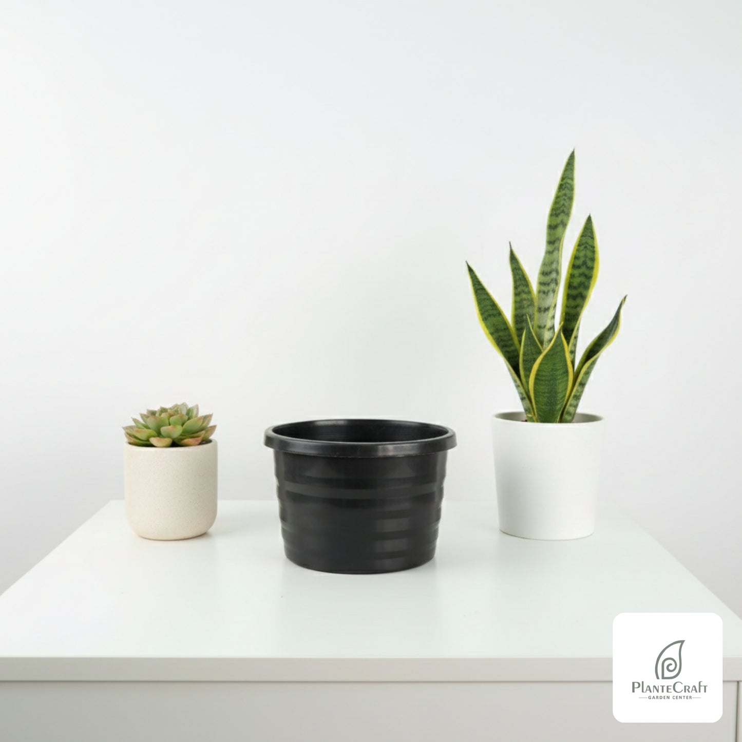 Large color pots