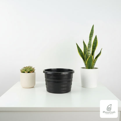 Large color pots