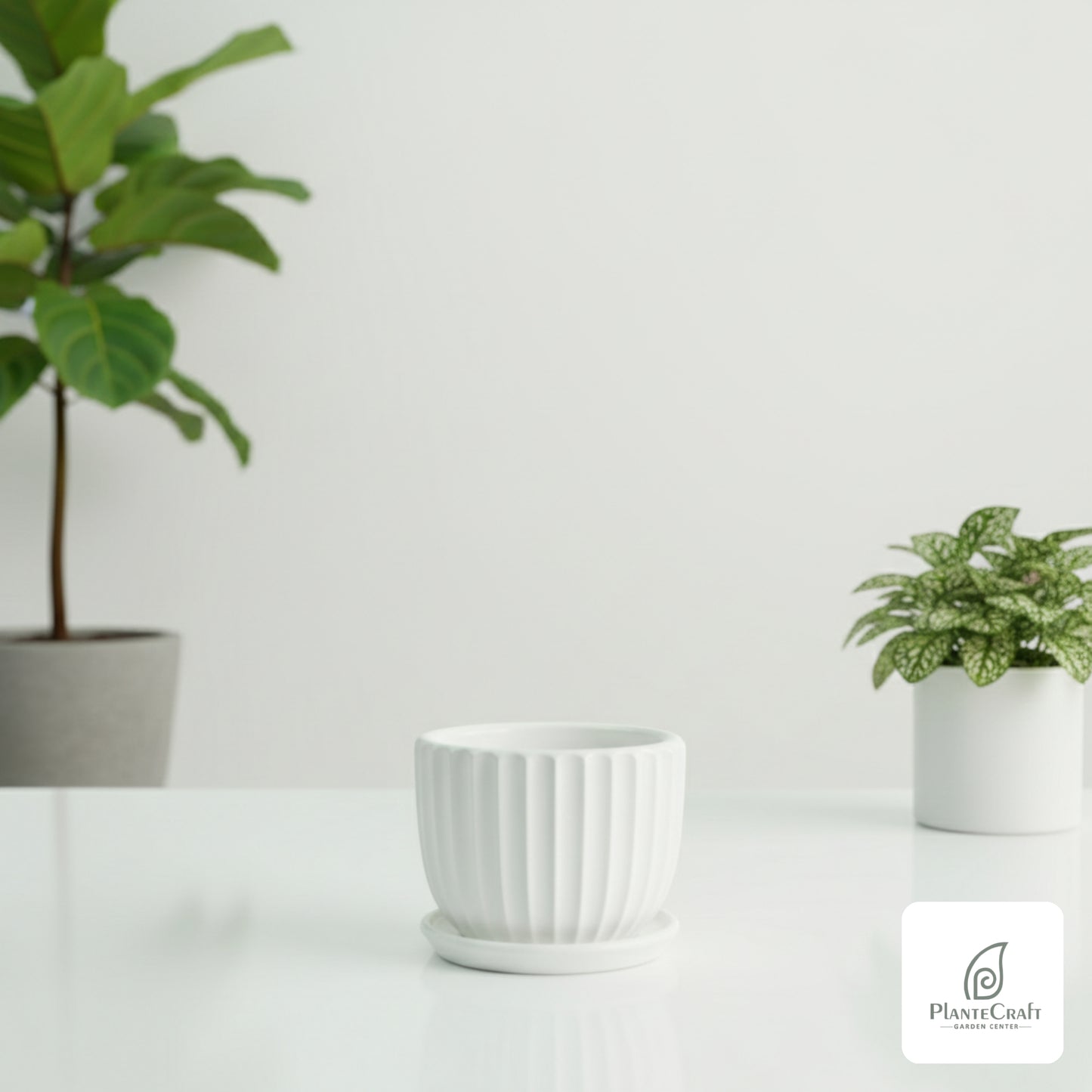 TerraNova Pot