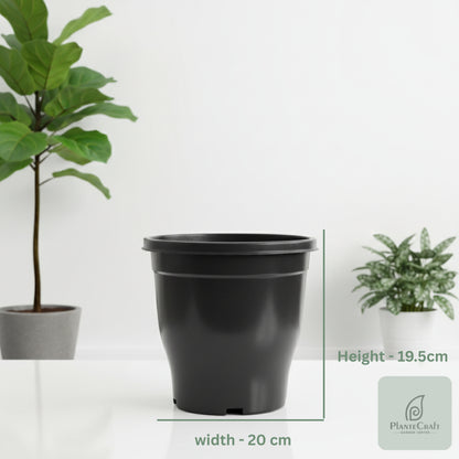 StormSafe Pot