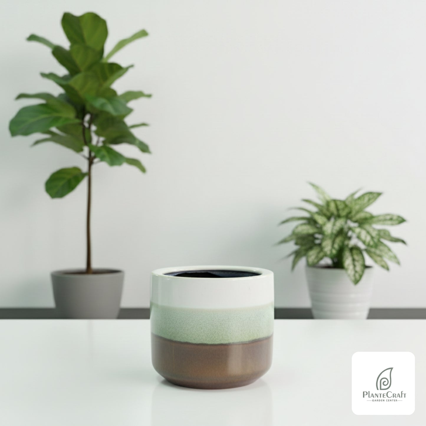 ForestAura Pot