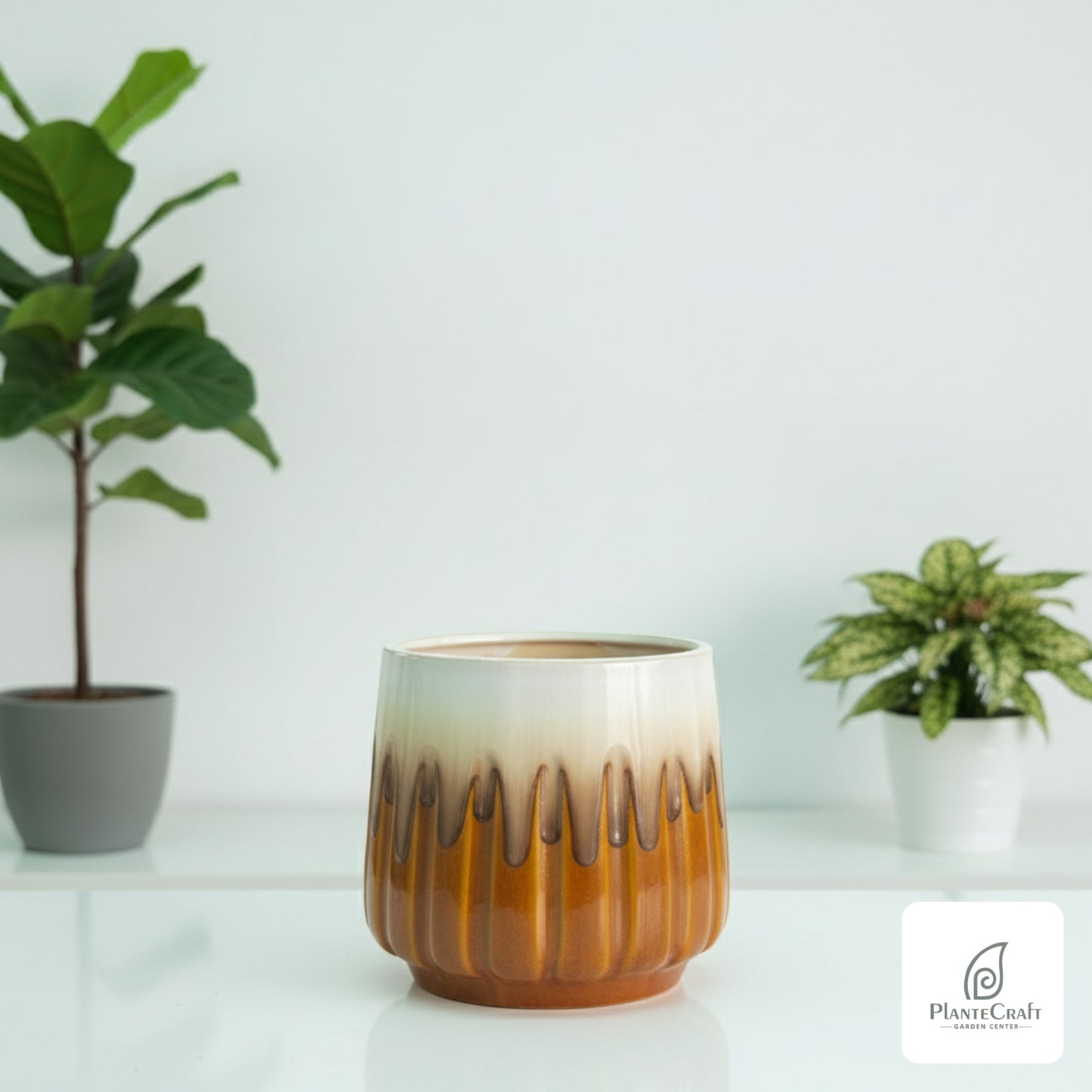 CozySprout Pot